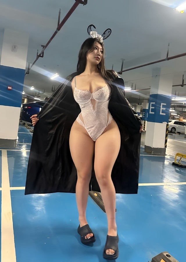 lelepigbaby地下车库暗黑系cosplay 二次元魅魔造型全解析[35P-110MB]